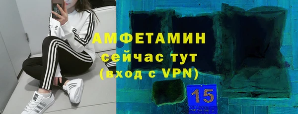 дживик Абаза