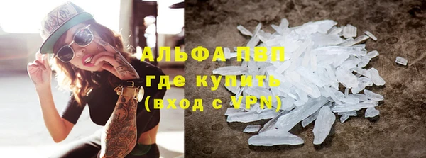 индика Корсаков
